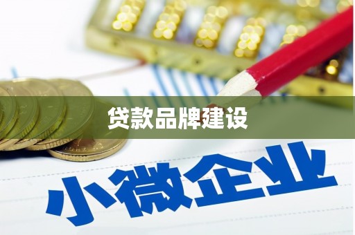 来宾贷款品牌建设