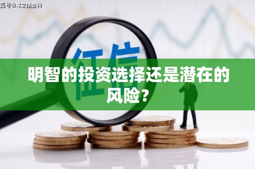 来宾明智的投资选择还是潜在的风险？