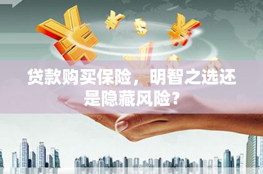 来宾贷款购买保险，明智之选还是隐藏风险？