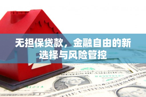 来宾无担保贷款，金融自由的新选择与风险管控