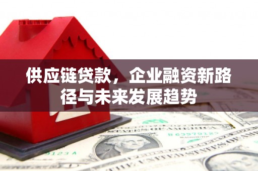 来宾供应链贷款，企业融资新路径与未来发展趋势