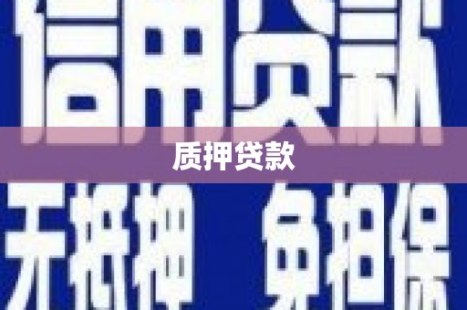 来宾质押贷款