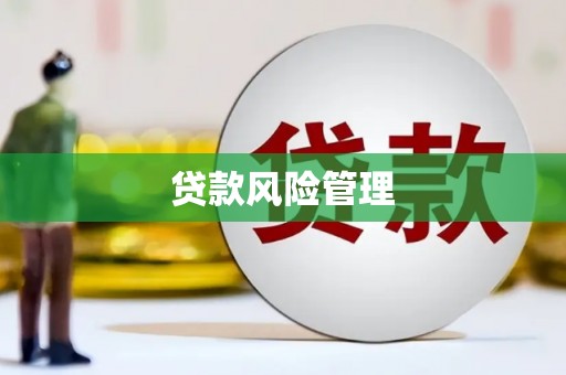 来宾贷款风险管理