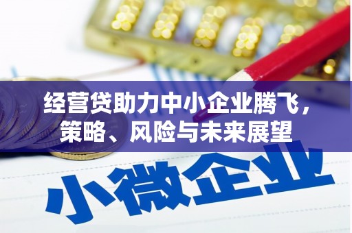 来宾经营贷助力中小企业腾飞，策略、风险与未来展望