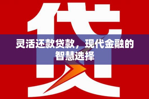 来宾灵活还款贷款，现代金融的智慧选择