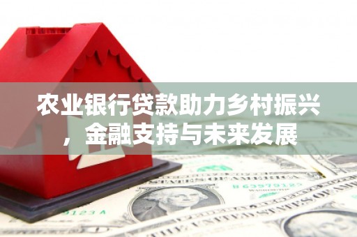 来宾农业银行贷款助力乡村振兴，金融支持与未来发展