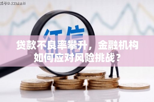 来宾贷款不良率攀升，金融机构如何应对风险挑战？