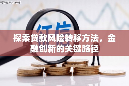 来宾探索贷款风险转移方法，金融创新的关键路径