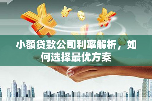 来宾小额贷款公司利率解析，如何选择最优方案