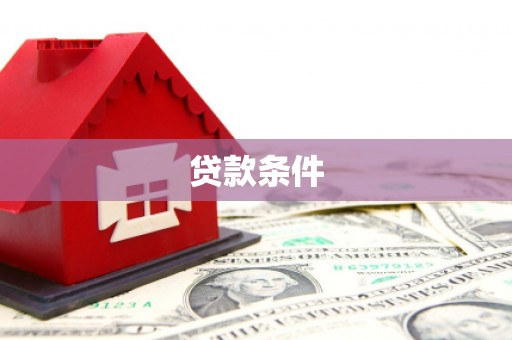 来宾贷款条件
