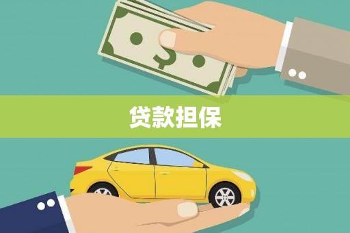 来宾贷款担保