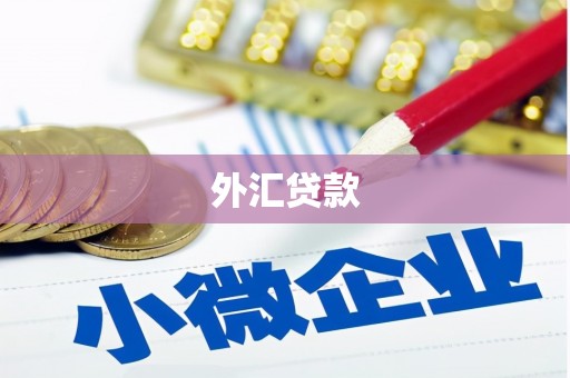 来宾外汇贷款