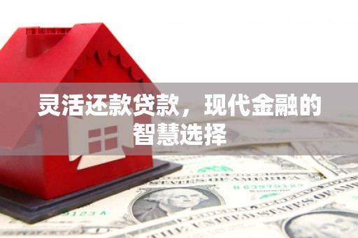 来宾灵活还款贷款，现代金融的智慧选择
