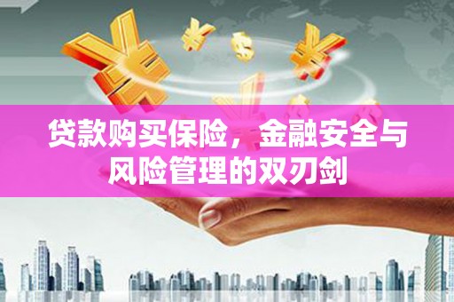 来宾贷款购买保险，金融安全与风险管理的双刃剑