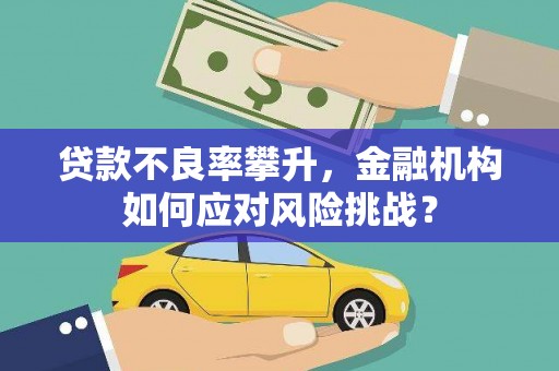 来宾贷款不良率攀升，金融机构如何应对风险挑战？