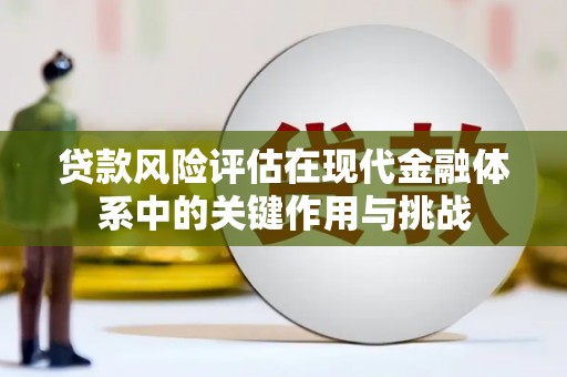 来宾贷款风险评估在现代金融体系中的关键作用与挑战