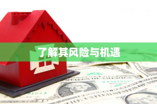 来宾了解其风险与机遇