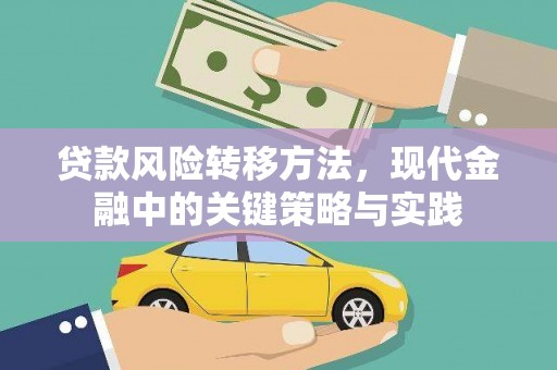 来宾贷款风险转移方法，现代金融中的关键策略与实践