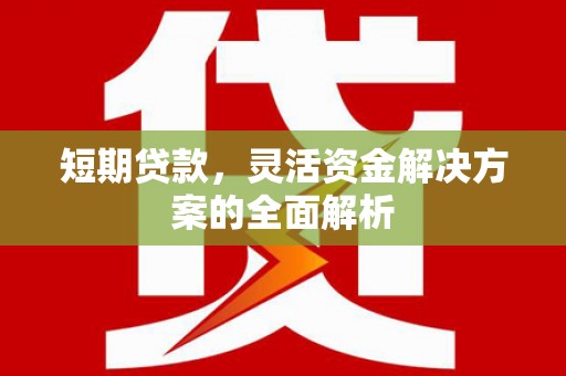 来宾短期贷款，灵活资金解决方案的全面解析