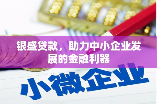 来宾银盛贷款，助力中小企业发展的金融利器