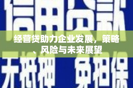 来宾经营贷助力企业发展，策略、风险与未来展望
