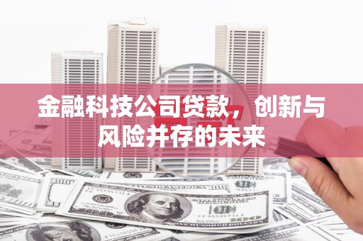 来宾金融科技公司贷款，创新与风险并存的未来