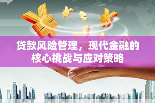 来宾贷款风险管理，现代金融的核心挑战与应对策略