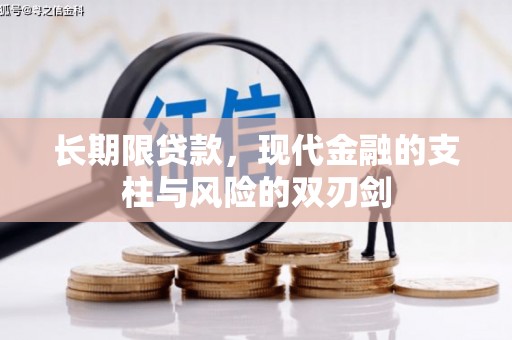 来宾长期限贷款，现代金融的支柱与风险的双刃剑
