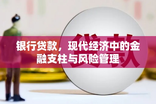 来宾银行贷款，现代经济中的金融支柱与风险管理