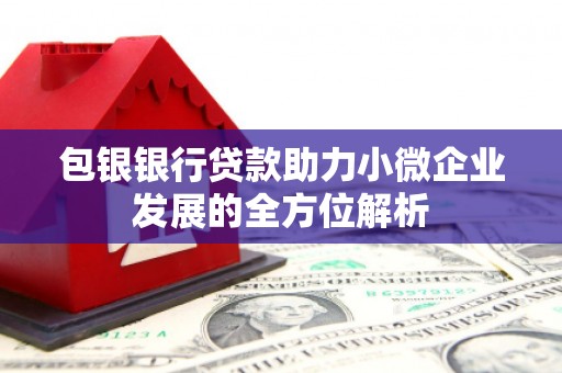 来宾包银银行贷款助力小微企业发展的全方位解析