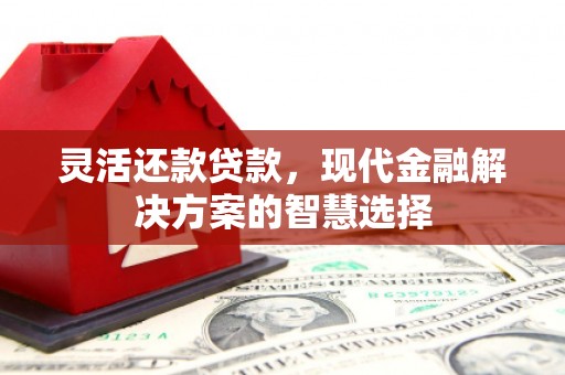 来宾灵活还款贷款，现代金融解决方案的智慧选择