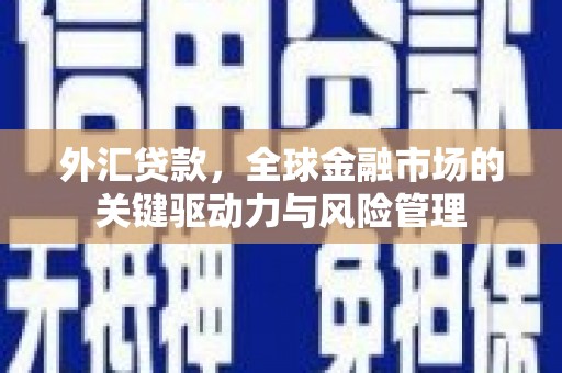 来宾外汇贷款，全球金融市场的关键驱动力与风险管理