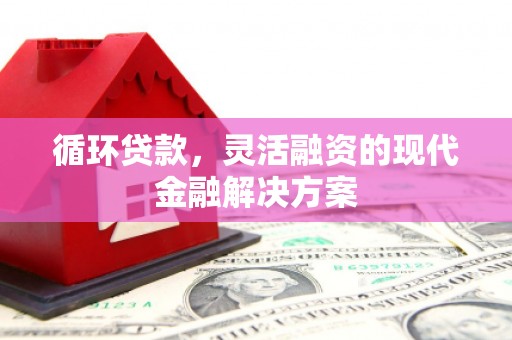 来宾循环贷款，灵活融资的现代金融解决方案