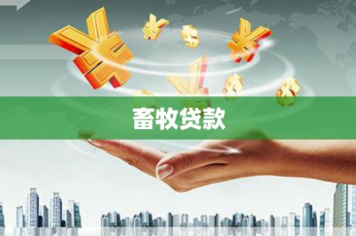 来宾畜牧贷款