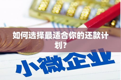 来宾如何选择最适合你的还款计划？