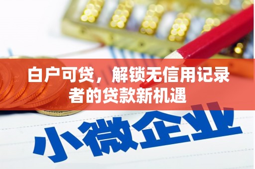 来宾白户可贷，解锁无信用记录者的贷款新机遇