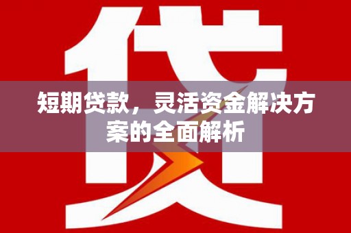 来宾短期贷款，灵活资金解决方案的全面解析