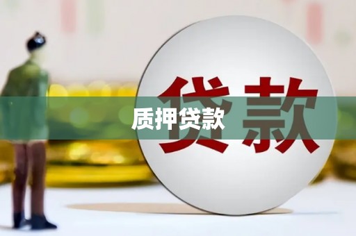 来宾质押贷款