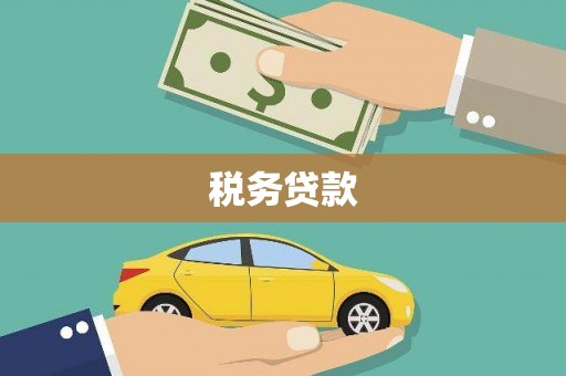 来宾税务贷款