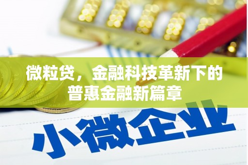 来宾微粒贷，金融科技革新下的普惠金融新篇章