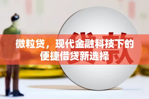 来宾微粒贷，现代金融科技下的便捷借贷新选择