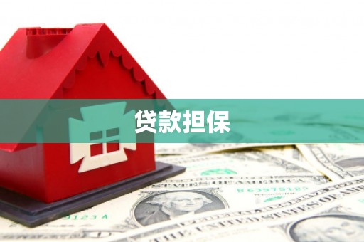 来宾贷款担保