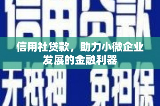来宾信用社贷款，助力小微企业发展的金融利器