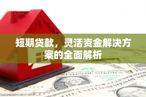 来宾短期贷款，灵活资金解决方案的全面解析