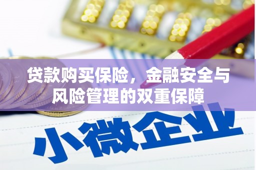 来宾贷款购买保险，金融安全与风险管理的双重保障