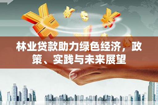 来宾林业贷款助力绿色经济，政策、实践与未来展望