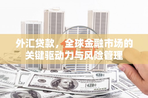 来宾外汇贷款，全球金融市场的关键驱动力与风险管理