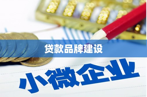 来宾贷款品牌建设