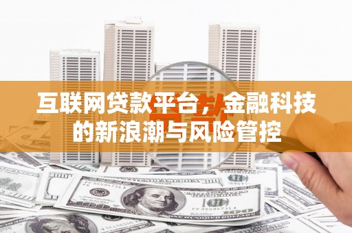 来宾互联网贷款平台，金融科技的新浪潮与风险管控