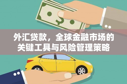 来宾外汇贷款，全球金融市场的关键工具与风险管理策略